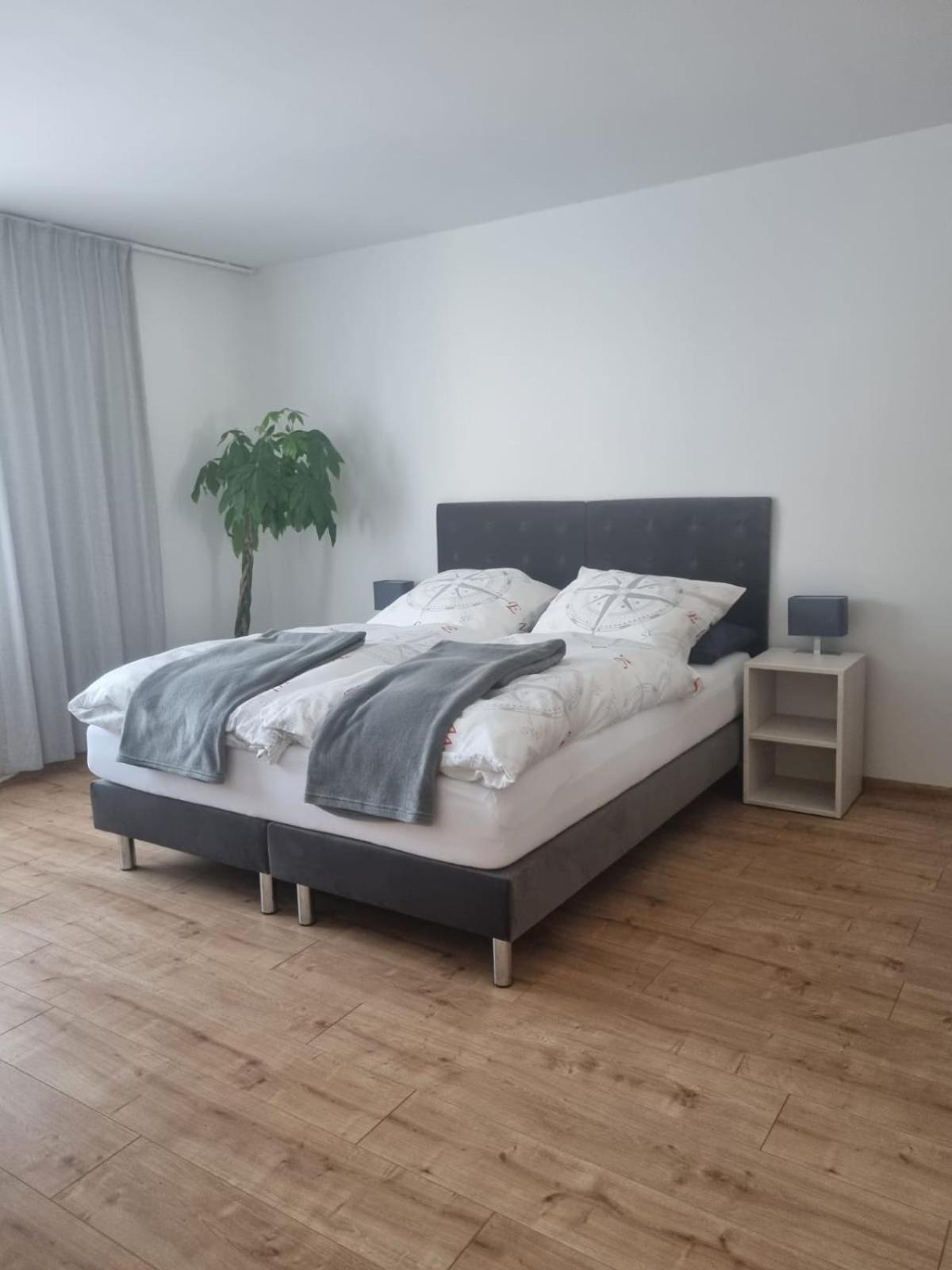 Gaestehaus Windrose Fichtelberg Esterno foto